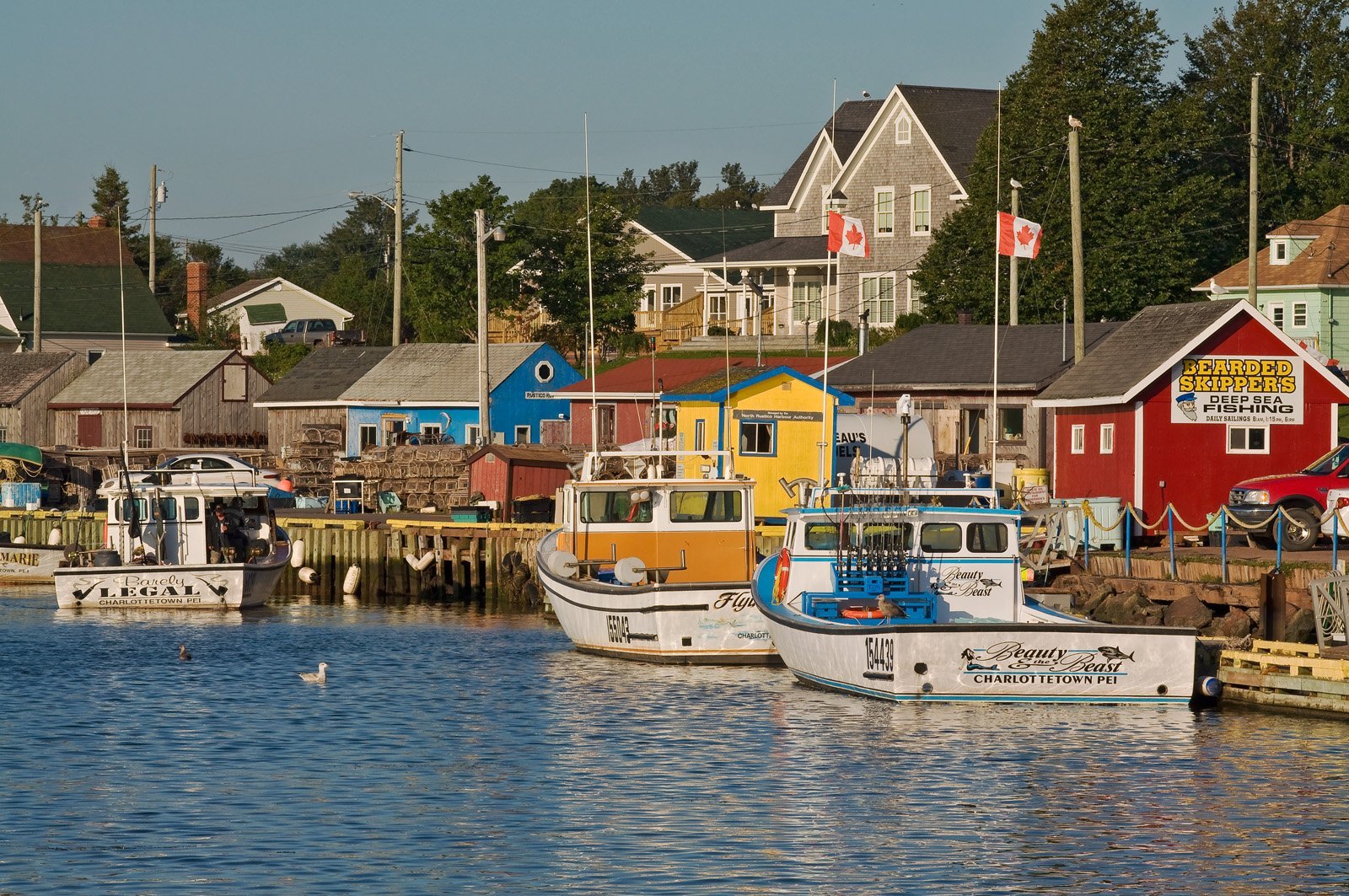 view of fishing shacks including "Bearded Skippers Deep Sea Fishing" at North Rustico Harbour