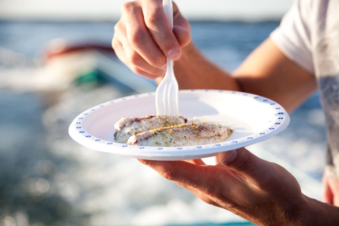 Deep-Sea Fishing & BBQ - Tranquility Cove Adventures