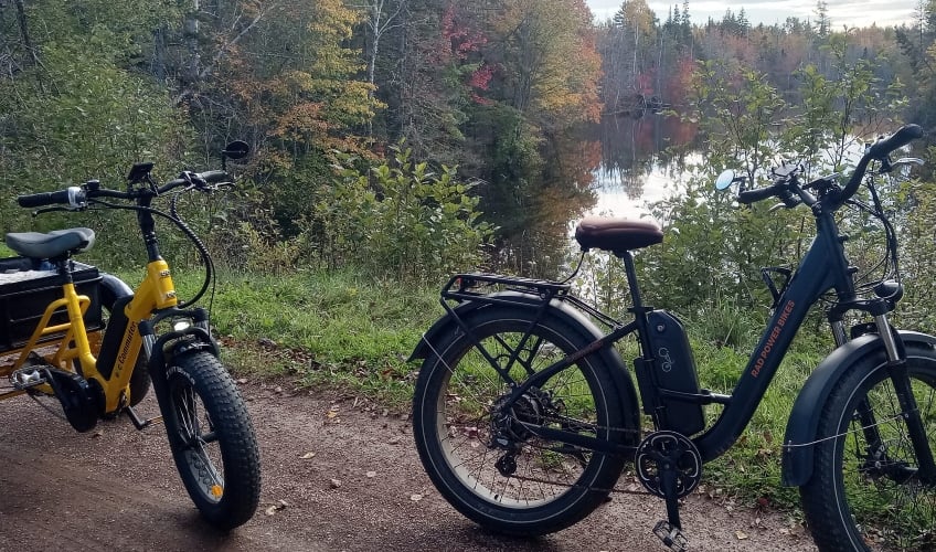 Nellie's Landing E-Bike Tours & Rentals