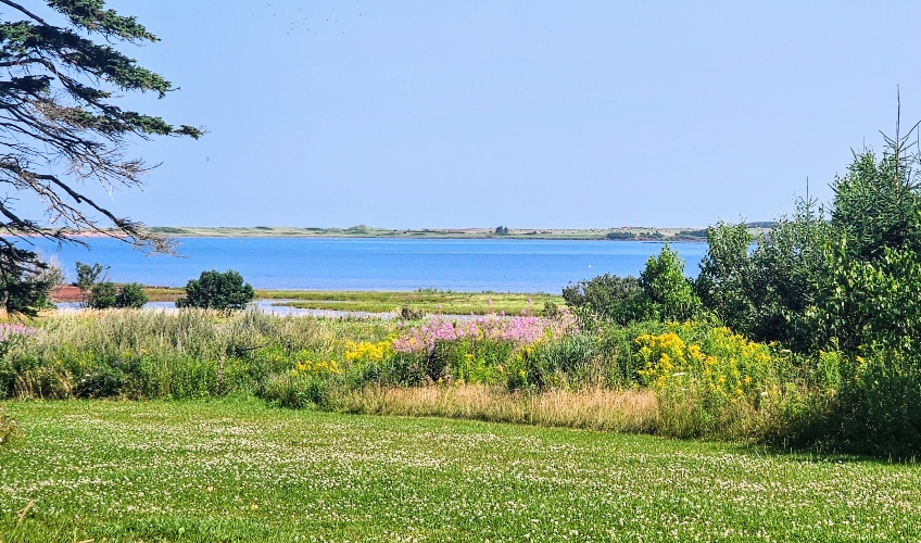 Basin Breeze Homestead