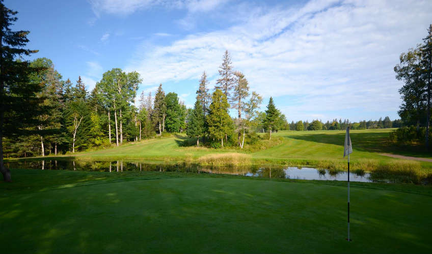 Forest Hills Disc & Golf Course
