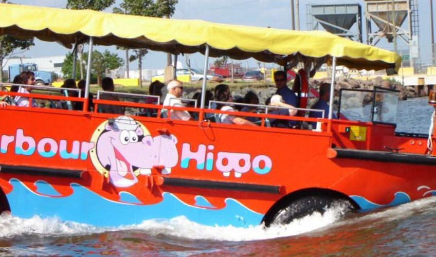 Harbour Hippo