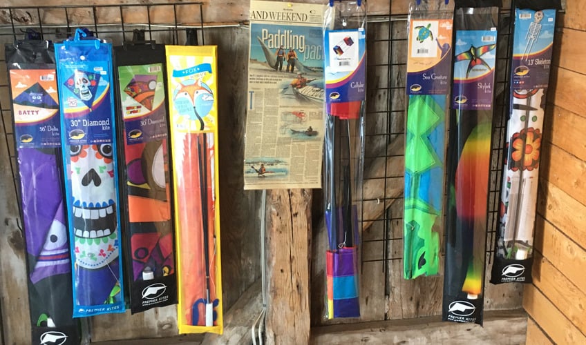 Outside Expeditions: Kites and Other Delights