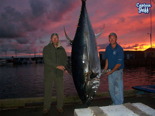 MacNeill's Tuna and Deep-Sea Fishing Charters