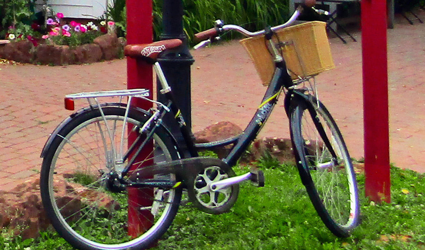 Northshore Bike Rentals
