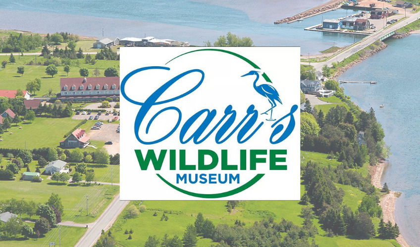 Carr's Wildlife Centre & Gift Shop in Stanley Bridge