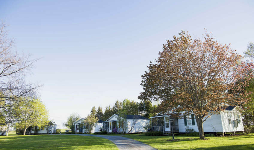 The Birches Cottages Inc.