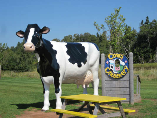 COWS Creamery