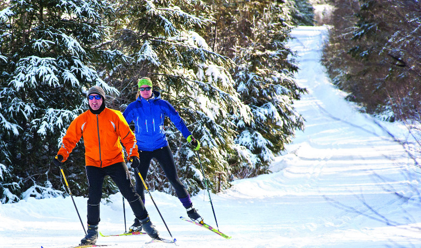 Mark Arendz Ski Park At Brookvale