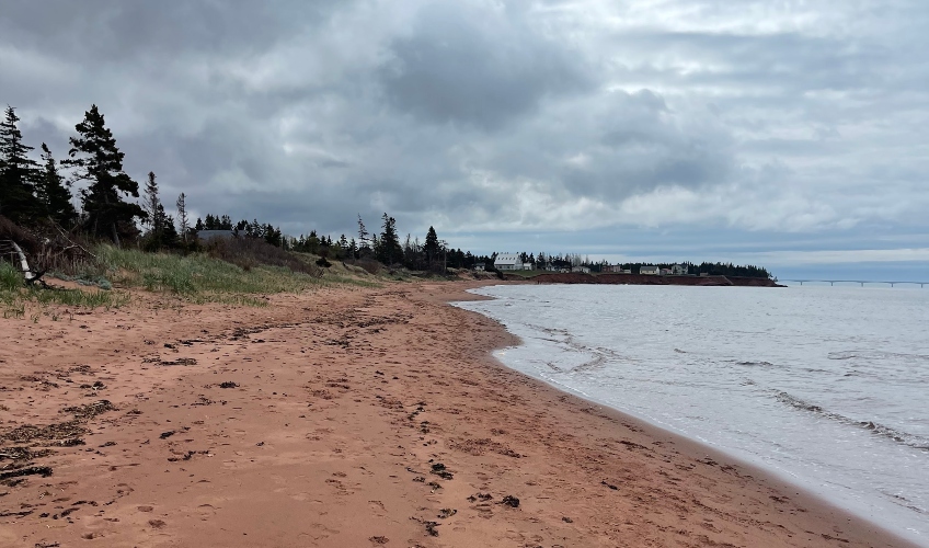 Dunes Lane Vacation Rentals