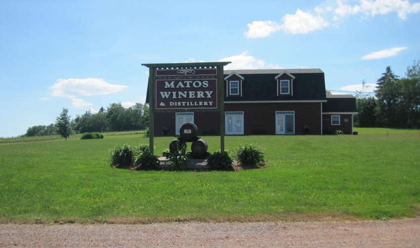 Matos Winery & Distillery