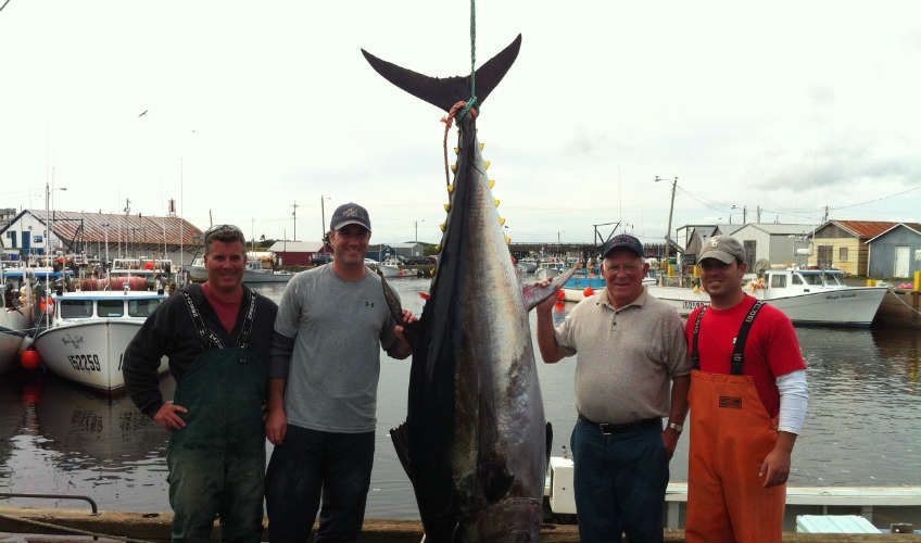 Ernie's Charter Fishing