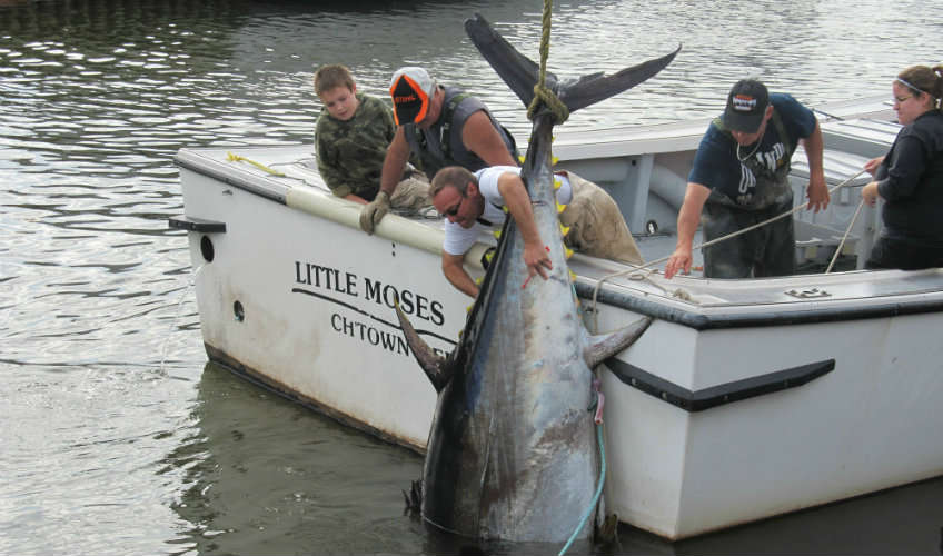 Island's End Tuna Charters