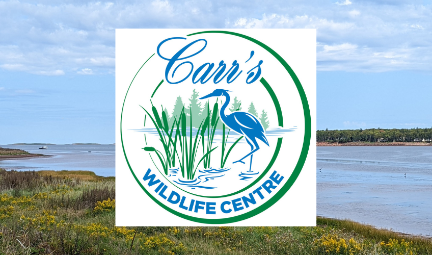 Carr's Wildlife Centre & Gift Shop in Stanley Bridge