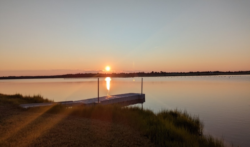 Amy's Rental Company