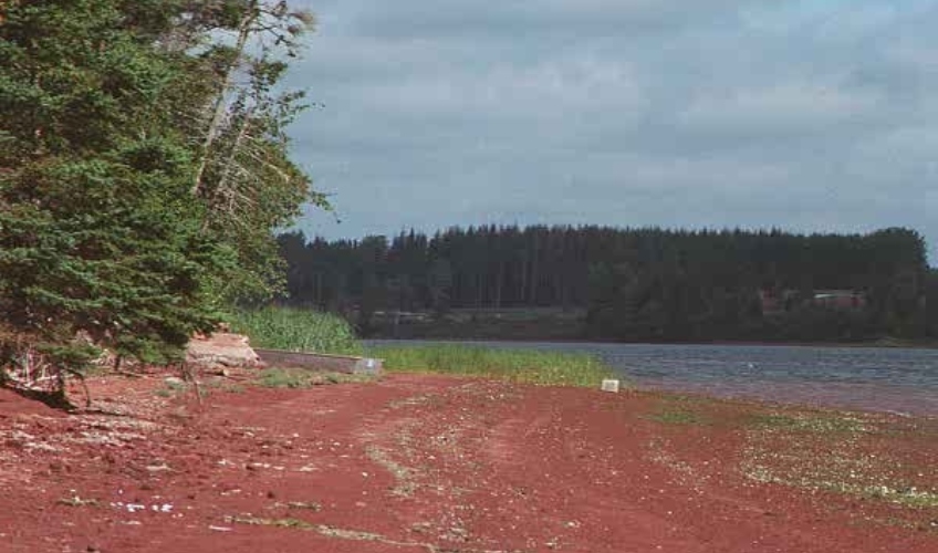Brudenell River Cottage