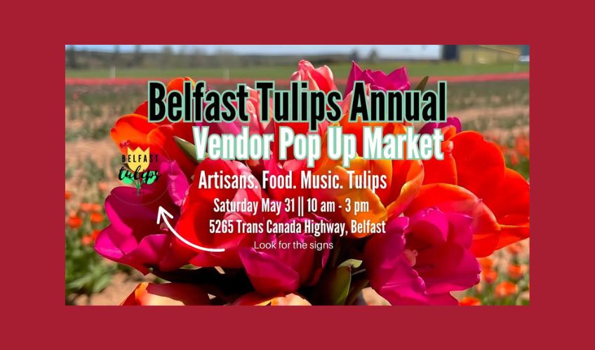Vendor Pop Up Market at Belfast Tulips Vendor Pop Up Market at Belfast Tulips