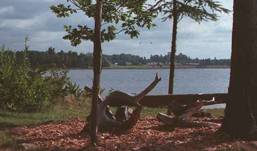 Brudenell River Cottage