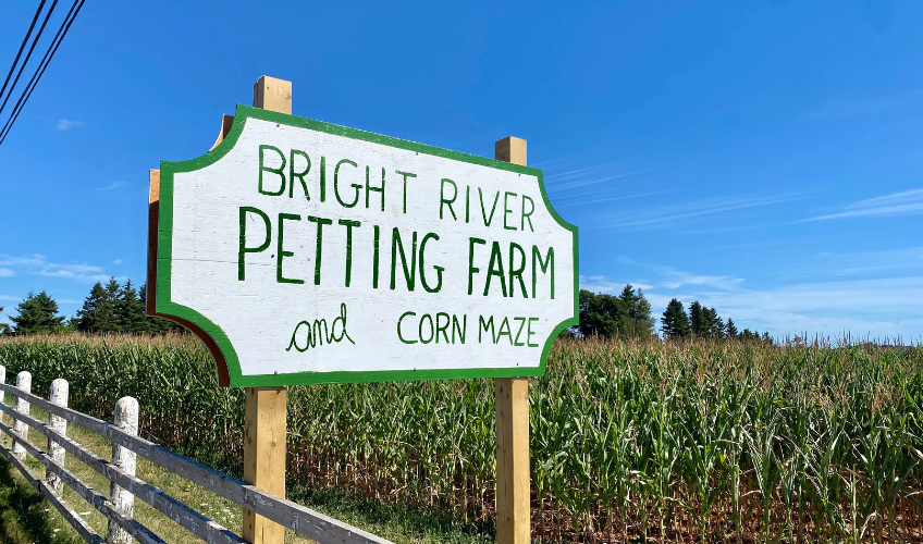 Bright River Petting Farm and Corn Maze