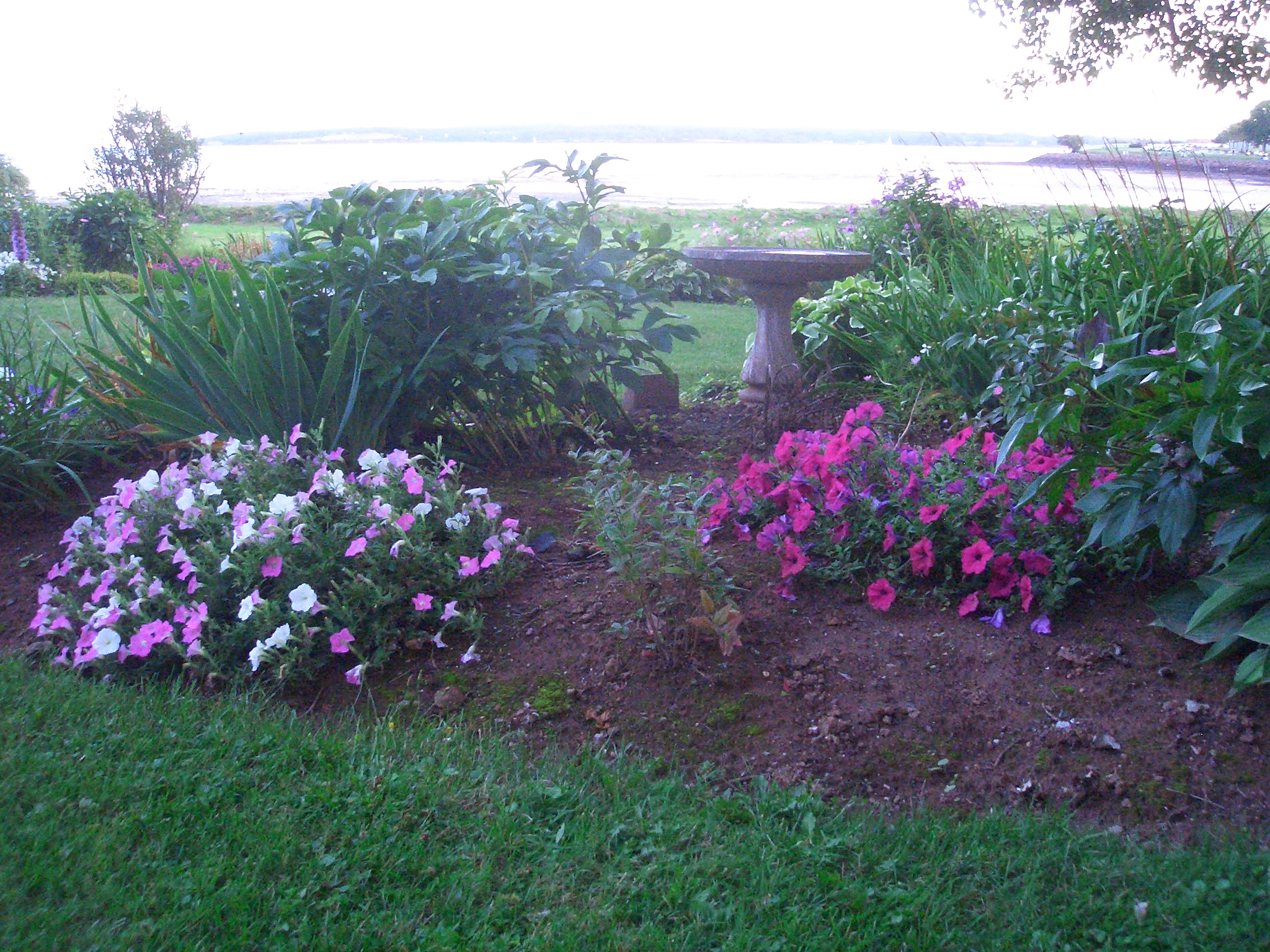 Secrets of Charlottetown Walking Tours | Tourism PEI