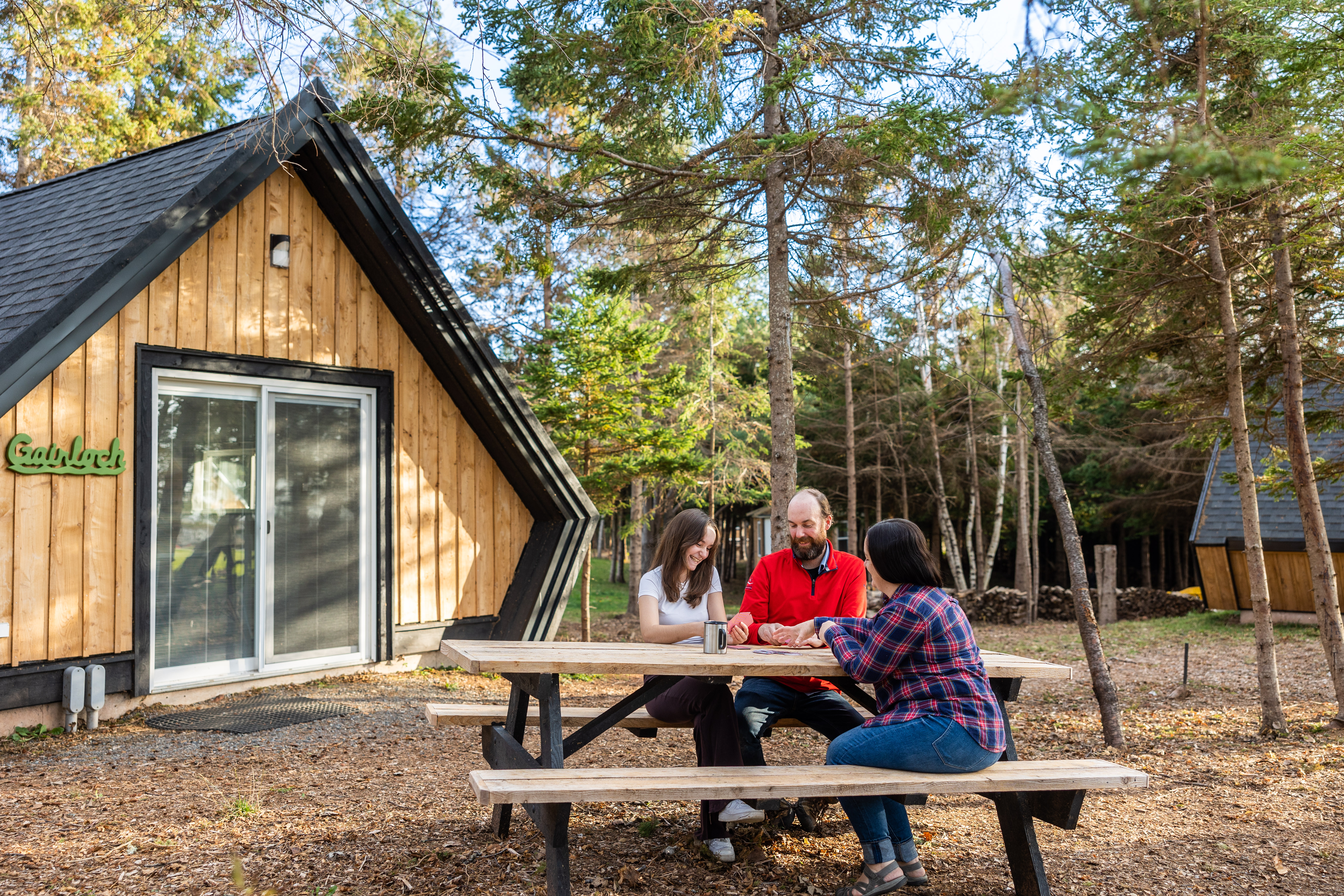 Wild Pines Cabins