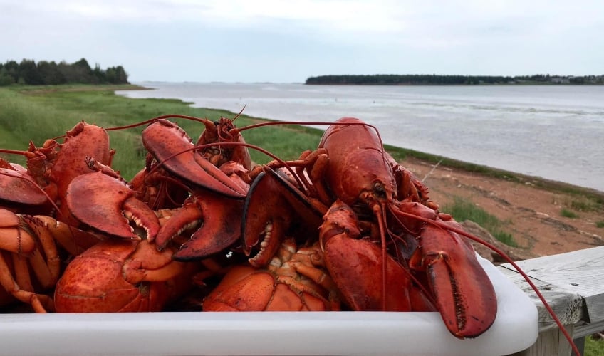 Carr's Oyster Bar & Restaurant