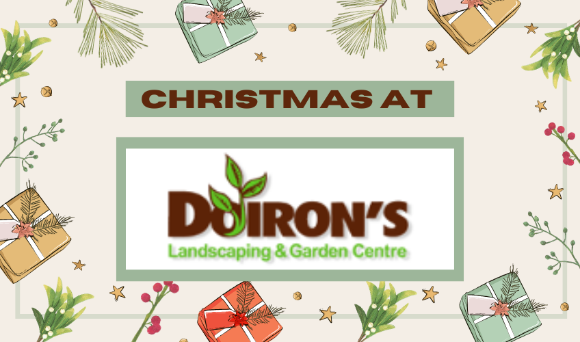 Christmas at Doiron's