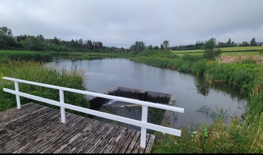 Clinton Pond B&B