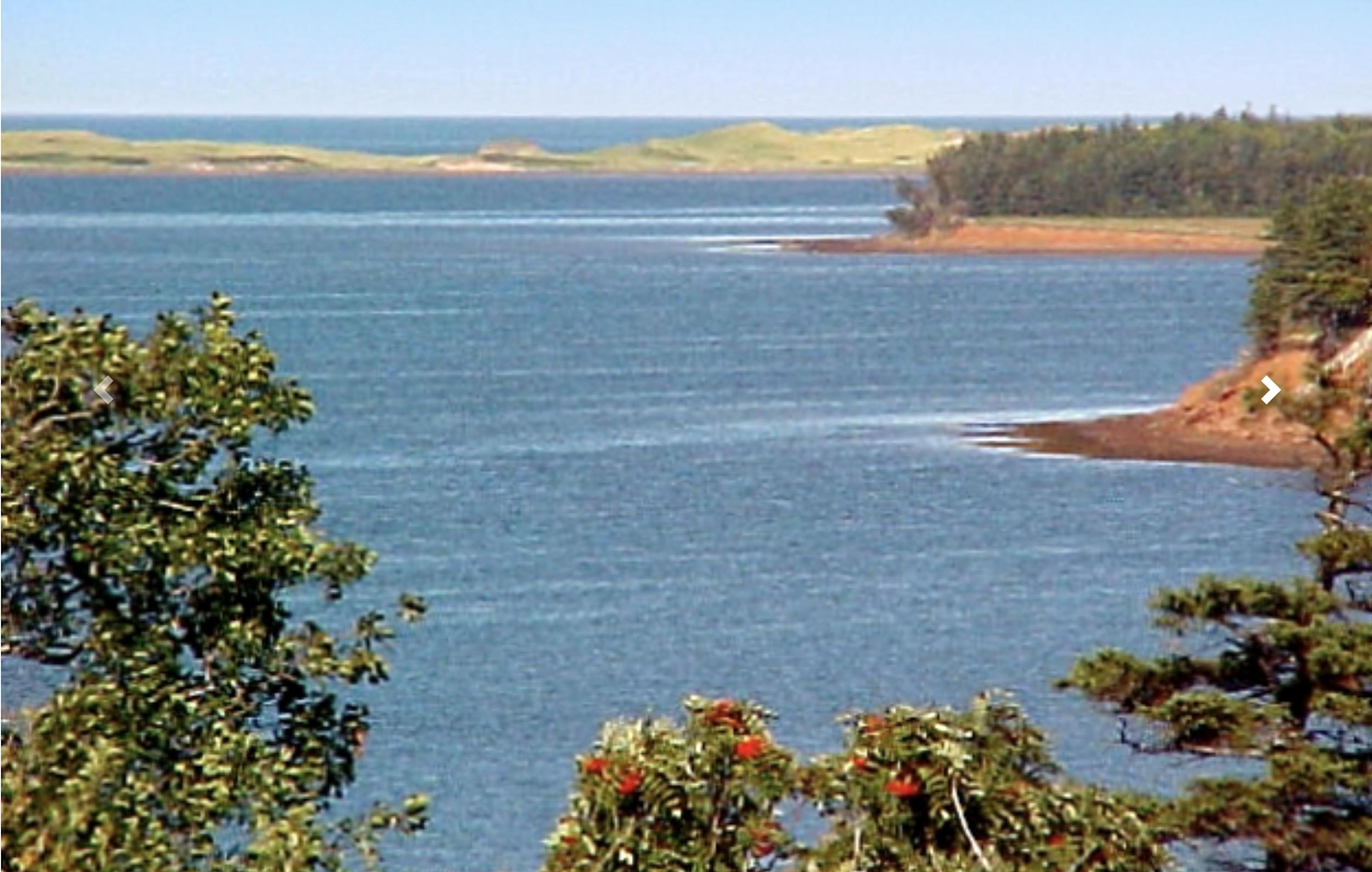 Dunescape Highbank