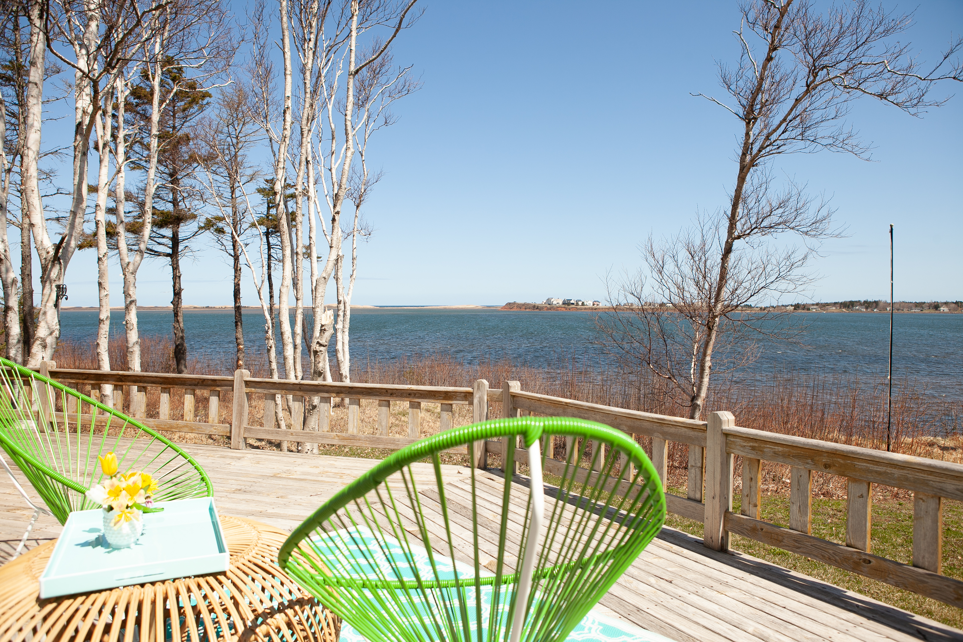 Owl's Landing on Covehead Bay