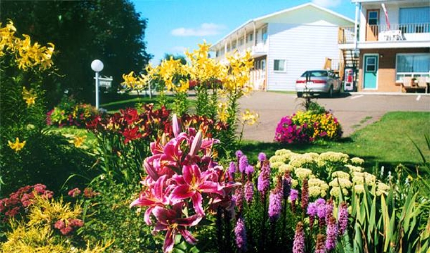 Fair Isle Motel