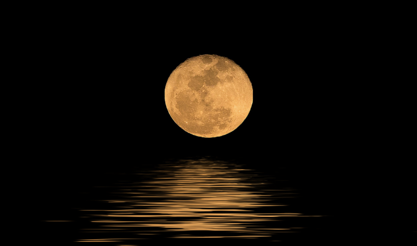 Spirits of the Moon Mystical Evening