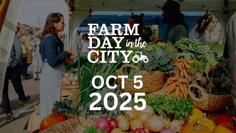 Farm Day in the City