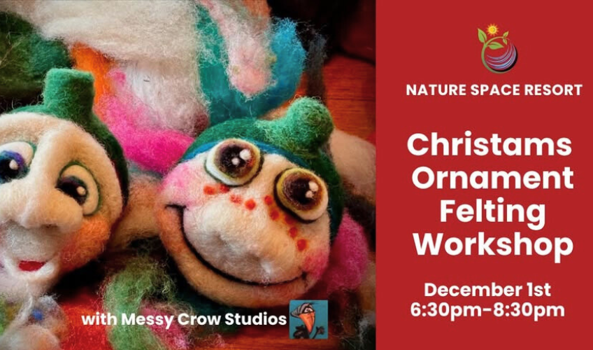 Felted Christmas Ornament Workshop