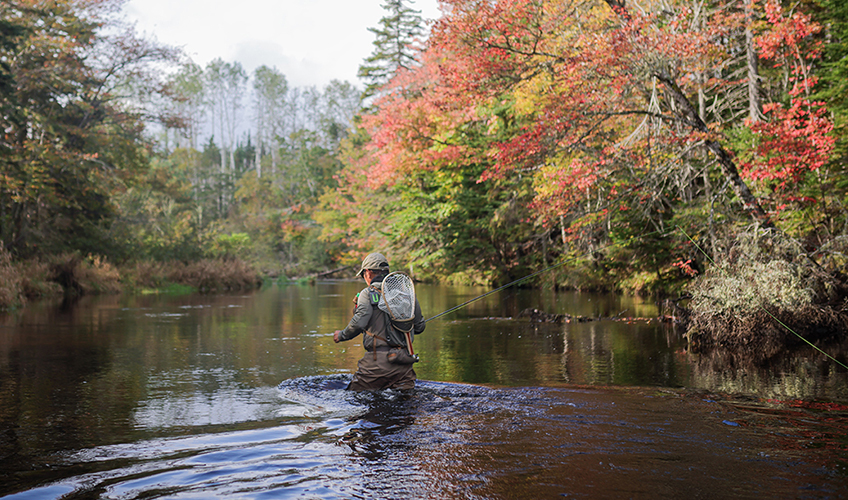 Fly Fish PEI