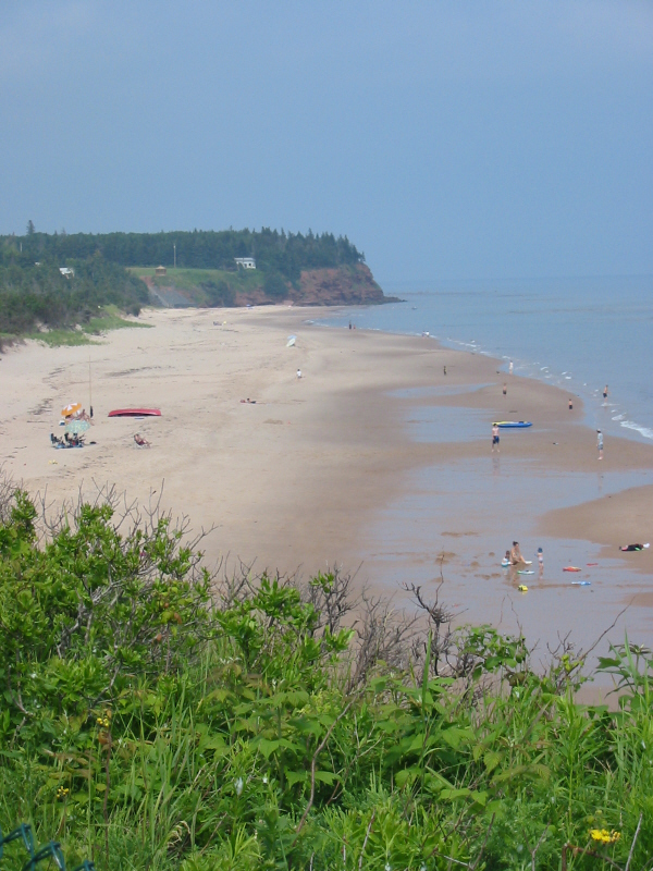 Bowater Beach House