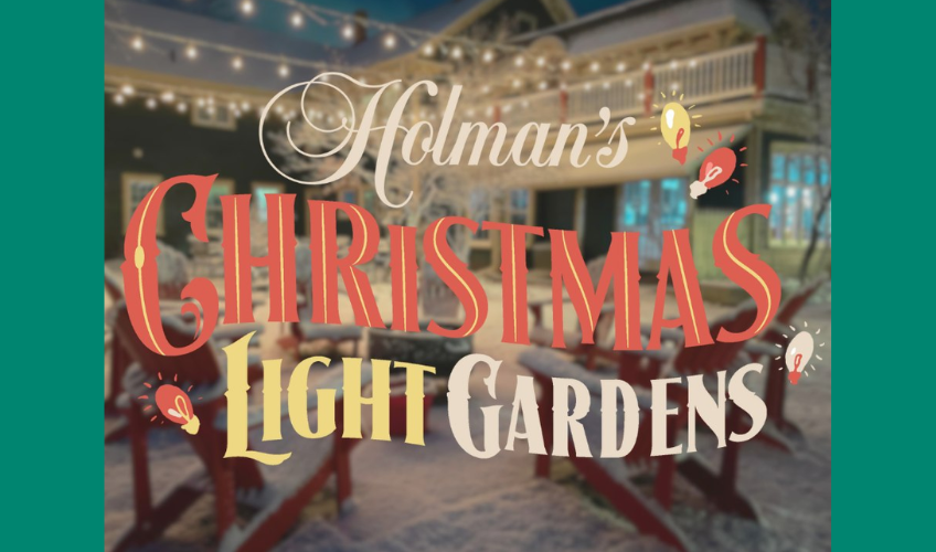 Holman's Christmas Light Gardens Opening