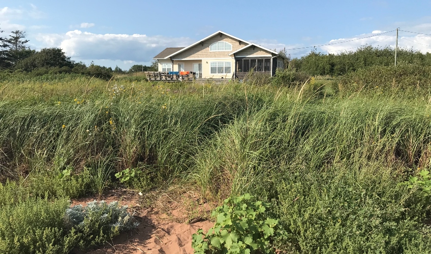 Tranquility Beach Cottage