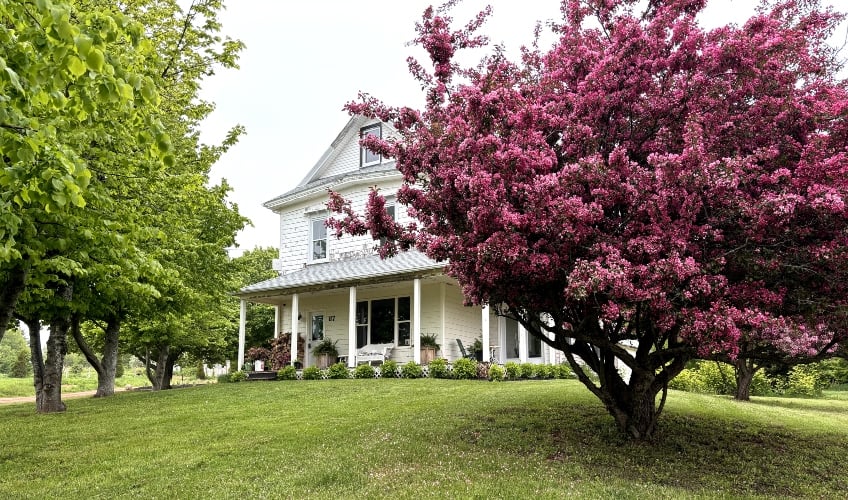 Lucy Lane Rental