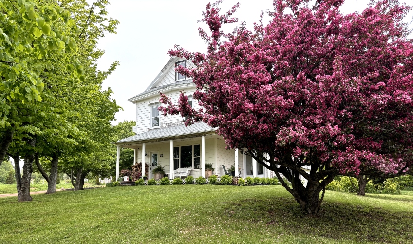 Lucy Lane Rental