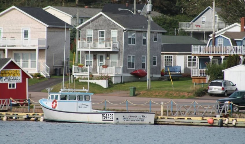 Salt of the Harbour