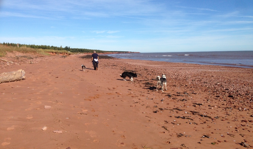 Kildare Beach Getaway