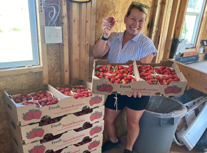 MacKenzie Produce