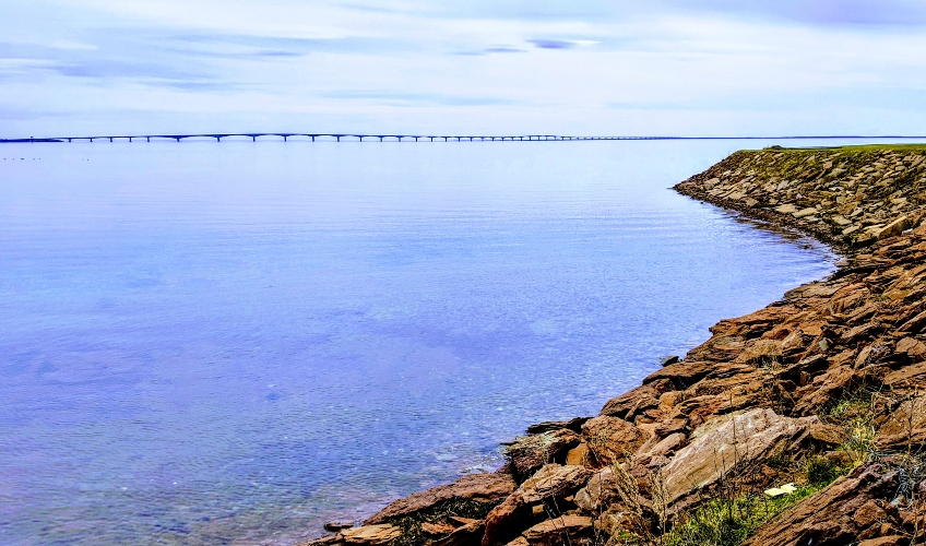 The Mermaid at Muttart's Shore