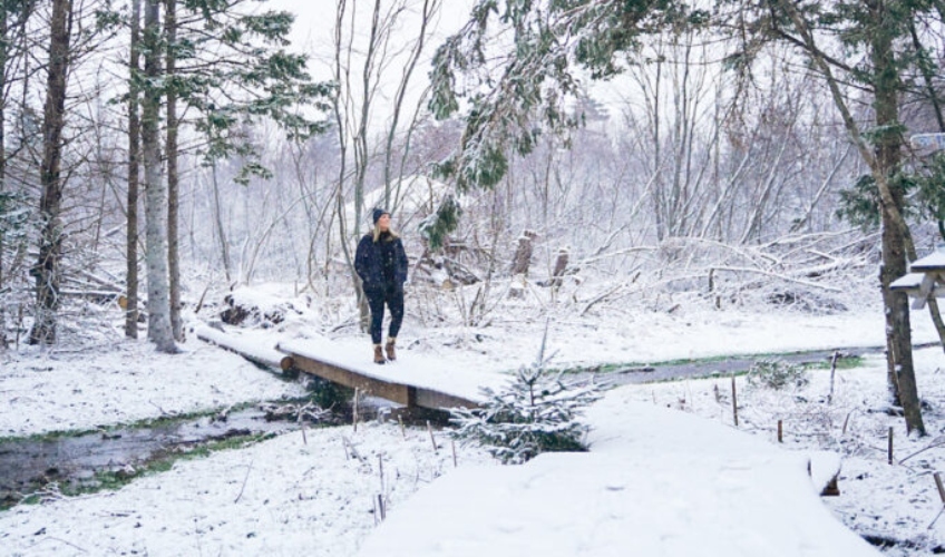 Nature Space Signature Package