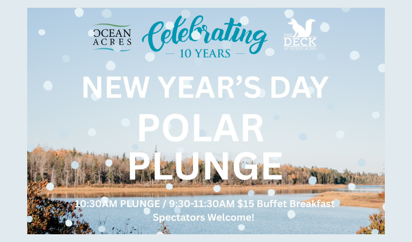 New Year's Day Polar Plunge