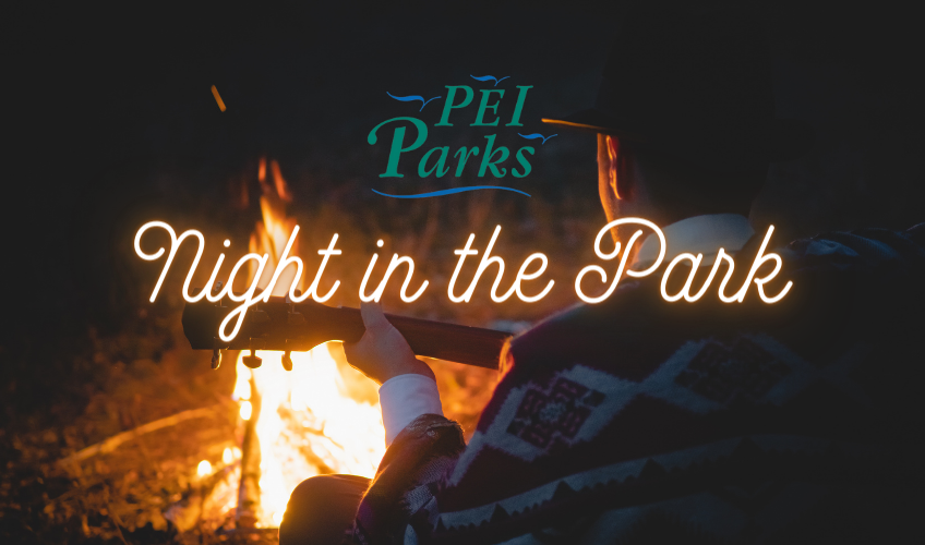 Jacques Cartier Night in the Park