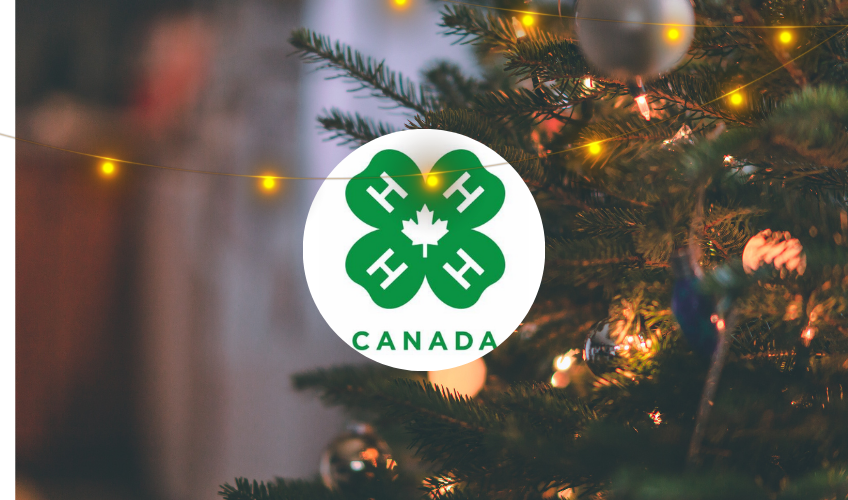 North River 4-H Club Craft Fair