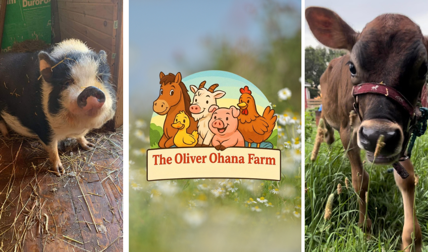 The Oliver Farm The Oliver Farm