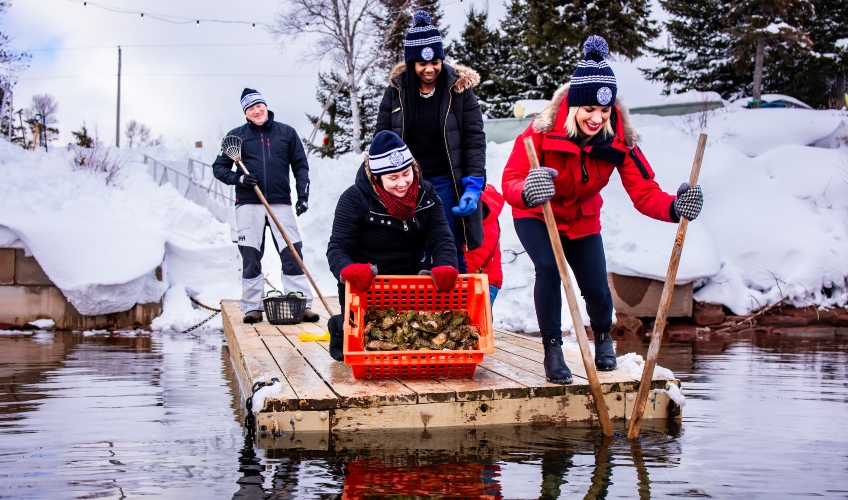 Tranquility Cove's Ice Fishing for Oysters